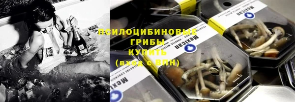 ешки Алексеевка