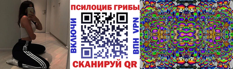 Псилоцибиновые грибы мухоморы купить закладку Похвистнево