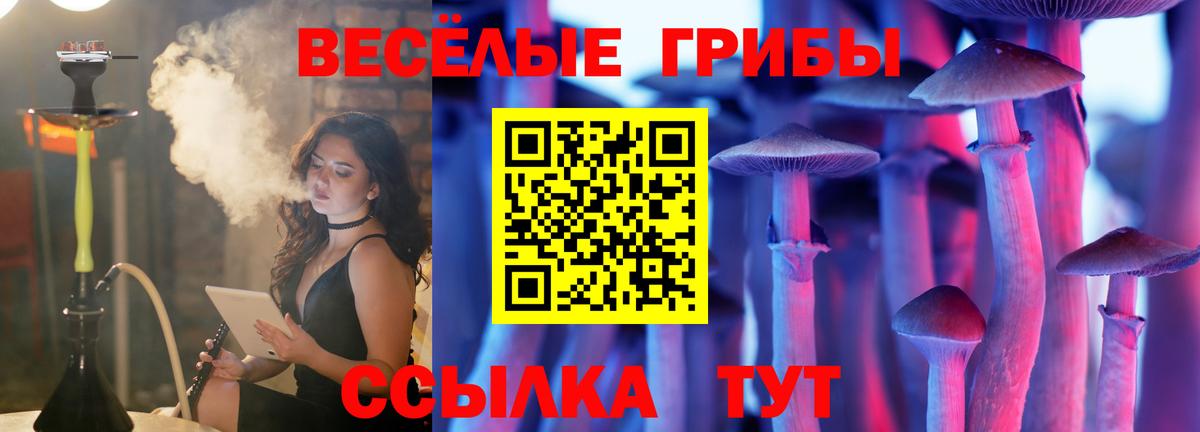 Галлюциногенные грибы прущие грибы  Вход с VPN  Галлюциногенные грибы мицелий  Похвистнево 